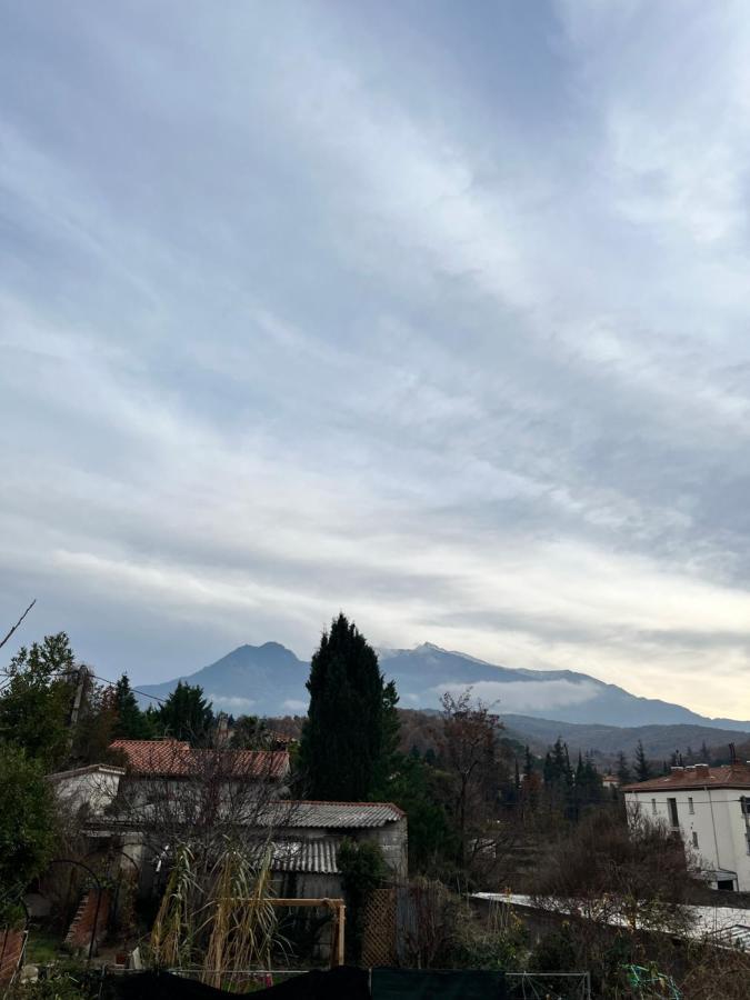 Le Cosy En Coeur De Ville Prades  Esterno foto